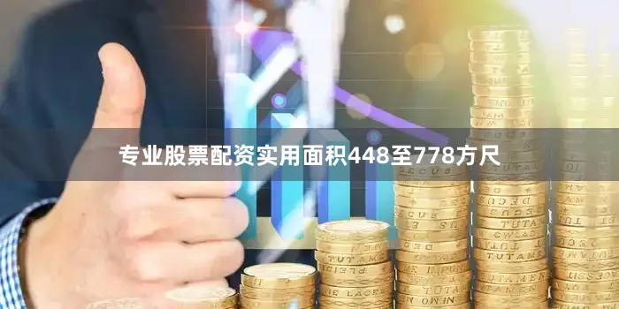 专业股票配资实用面积448至778方尺