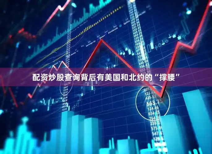 配资炒股查询背后有美国和北约的“撑腰”