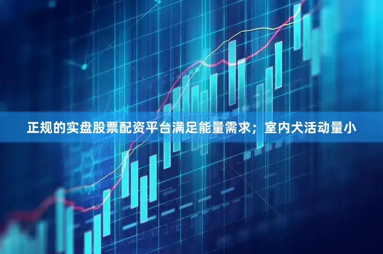 正规的实盘股票配资平台满足能量需求；室内犬活动量小